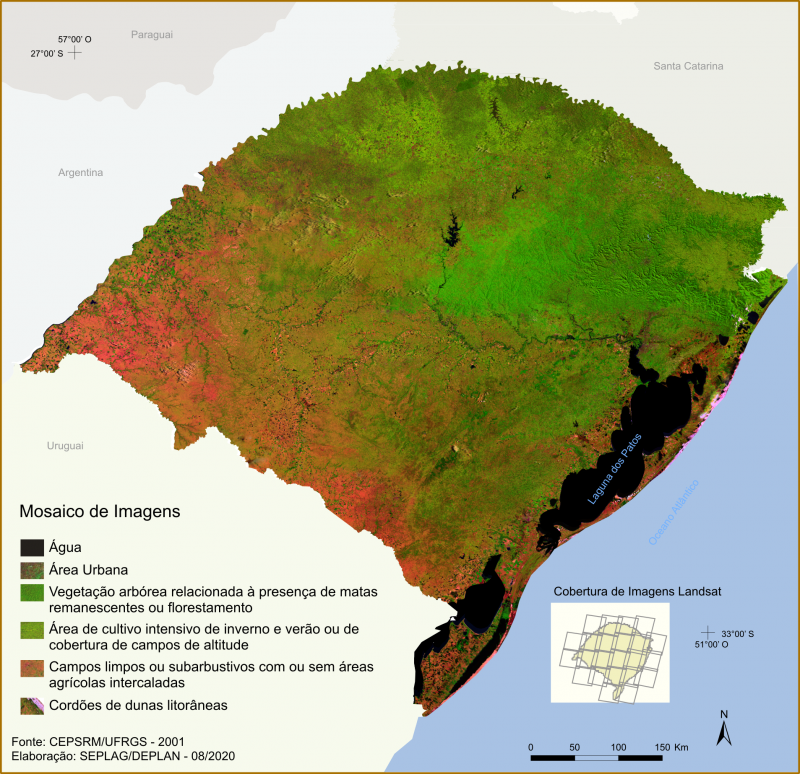 Site disponibiliza dezenas de imagens de vegetação para inserir em